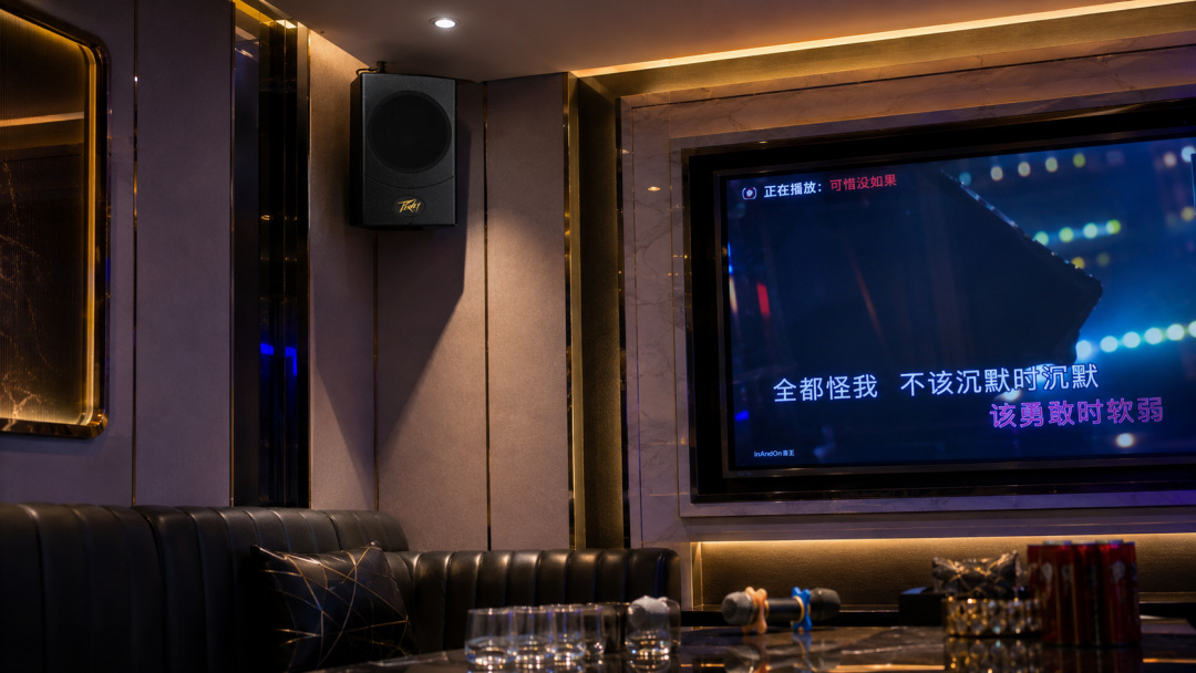 让声音更集中，让演唱更从容｜bw西汉姆联中国官网 HF同轴系列