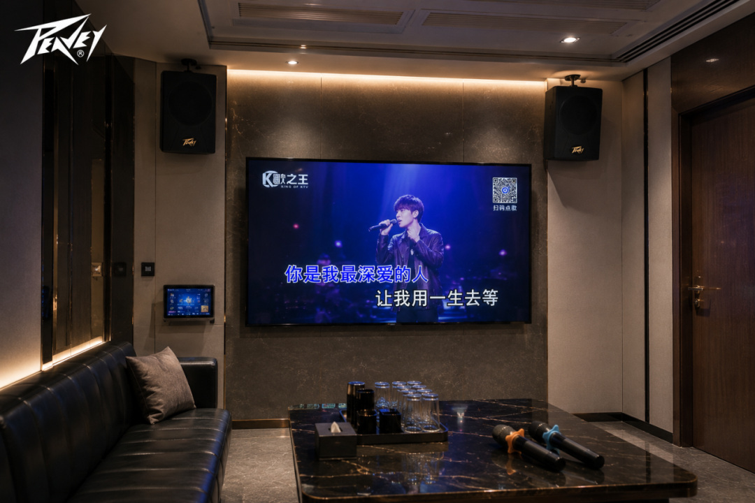 为什么有些KTV，一开声就更有“现场感”？| bw西汉姆联中国官网MD系列
