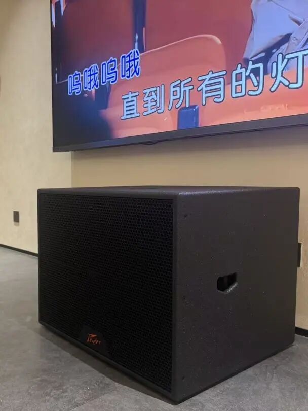 bw西汉姆联中国官网S系列4.1 KTV案例实景 14